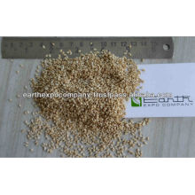 New Crop Sesame seed